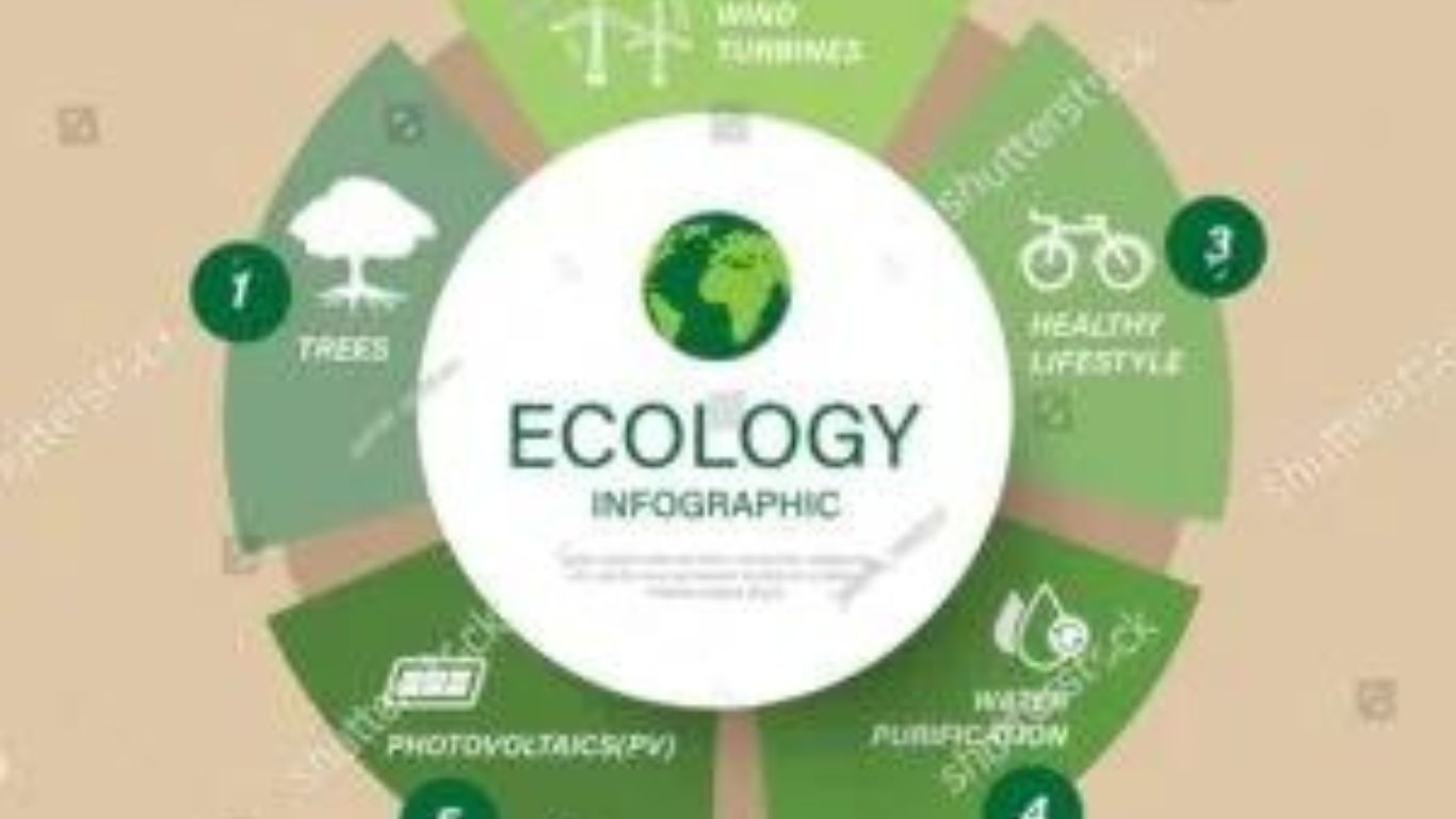Eco Friendly Products